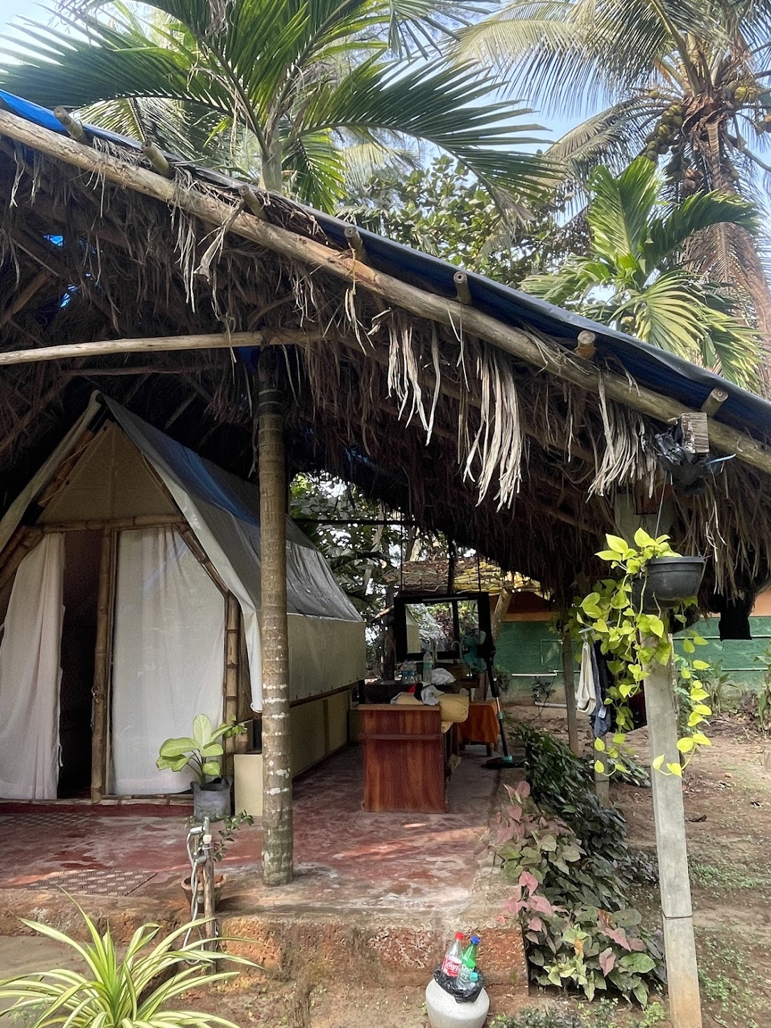 Boutique Casa - Wake up to breathtaking views of lush greenery and immerse yourself in the serenity of nature right outside your room.