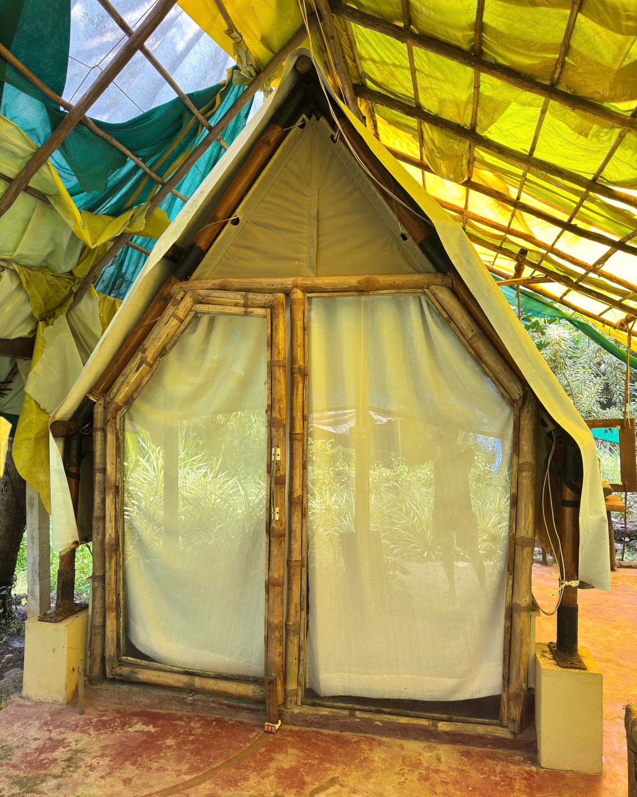 Room 6