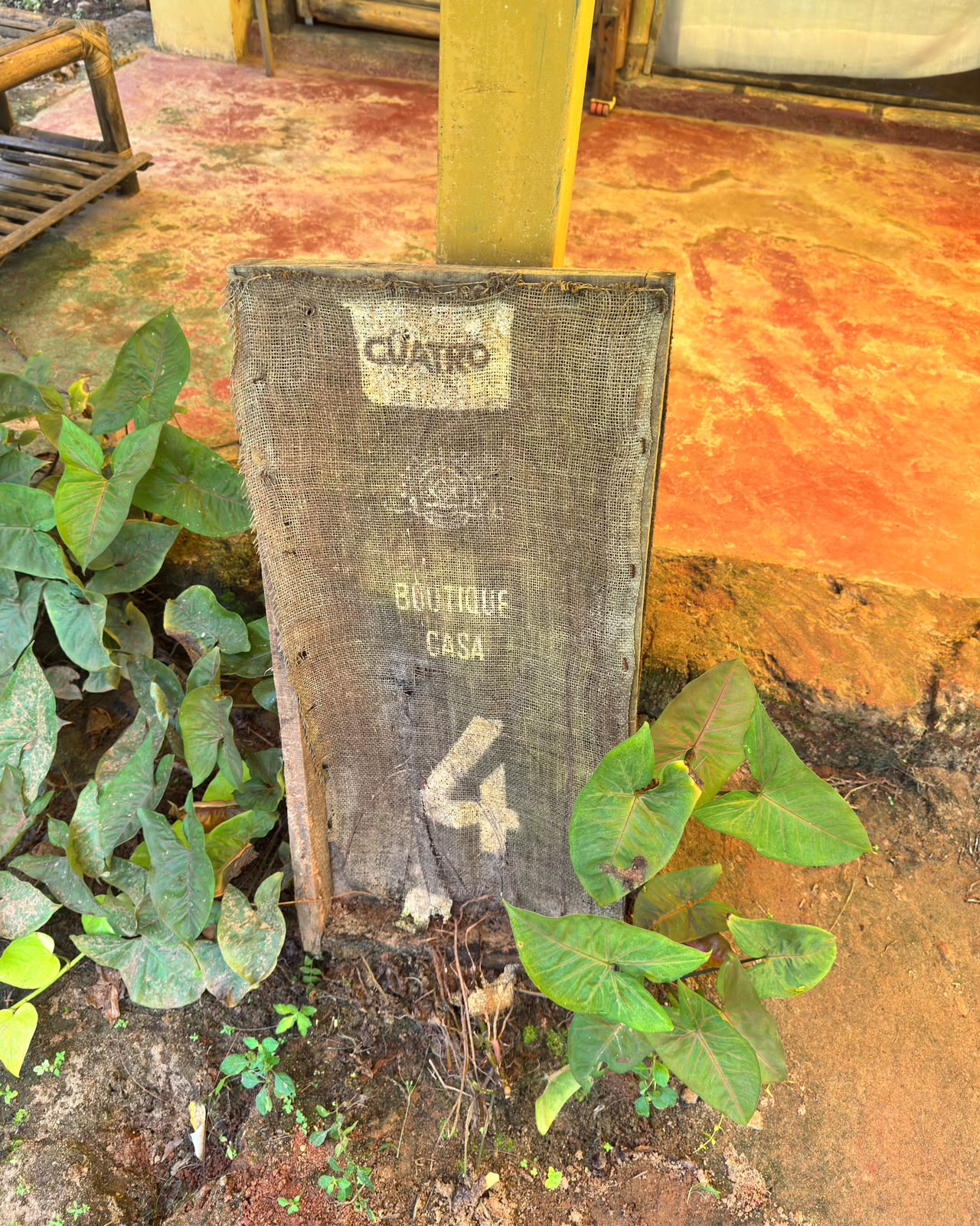Room 6 view 2